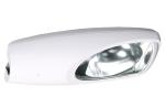 Outdoor Waterproof HID Street Light 2x250W Double-ended Lamps
