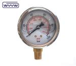 Factory Supply DN65 High Anti-Seismic stainless steel 2.5 inch 1/4"NPT Liquid