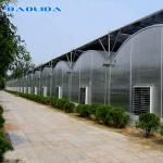 PE Film Covering Heavy Duty Plastic Greenhouse / Prefabricated Poly Tech