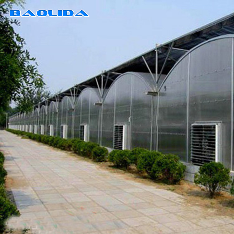 Steel Structure Polythene Tunnel 4 Mil Plastic Sheeting Greenhouse