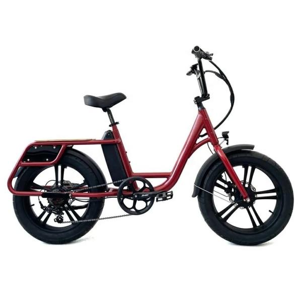 Rear Hub Motor Electric Cargo Bike 24 Inch Fat Tire Cargo Ebike 7 Speed 48V 500W
