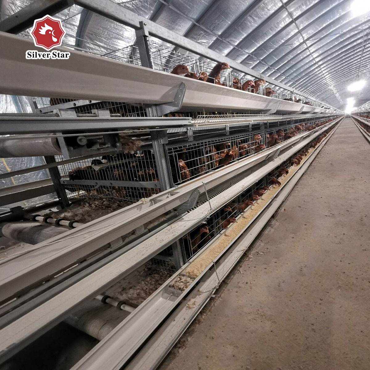 Newest Design Of H Type Layer Chicken Poultry Cage