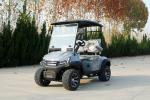 Comfortable Big Seat 2 Seat Electric Custom Golf Cart Mobility Four-Wheeled
