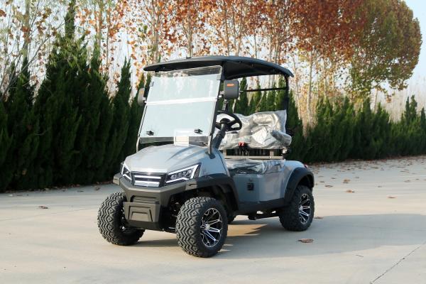 Comfortable Big Seat 2 Seat Electric Custom Golf Cart Mobility Four-Wheeled