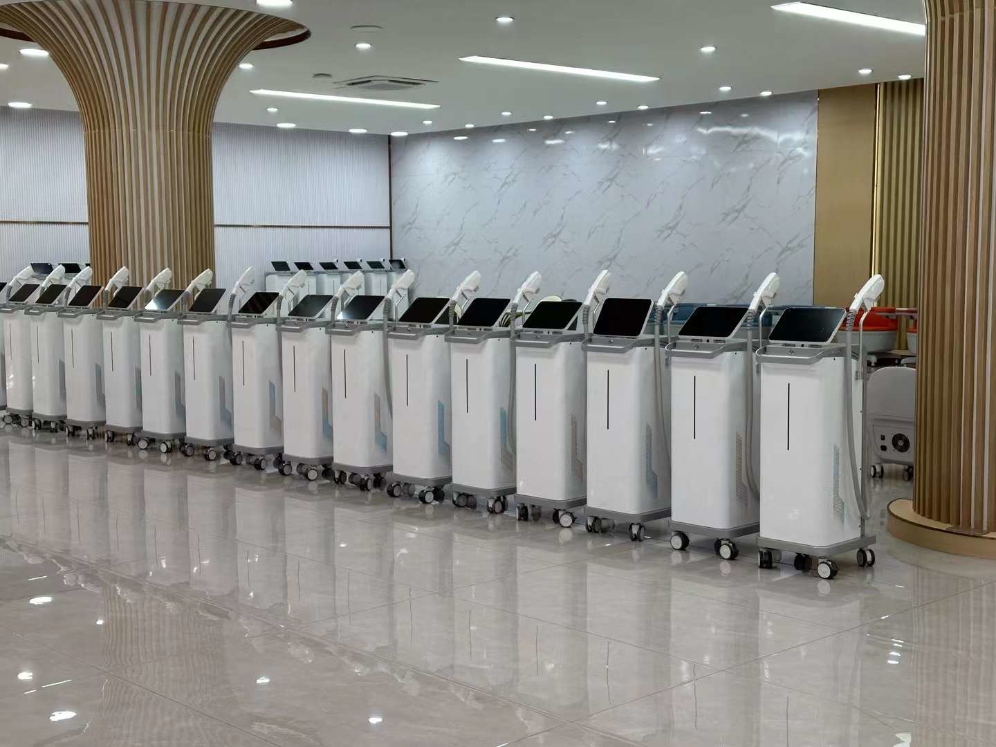 Permanent Laser Hair Removal And Tattoo Removal Machine With 2 Cooling Fans