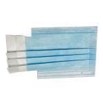 Professional Earloop Face Mask 2 Ply / 3 Ply / 4 Ply Soft And Skin Friendly