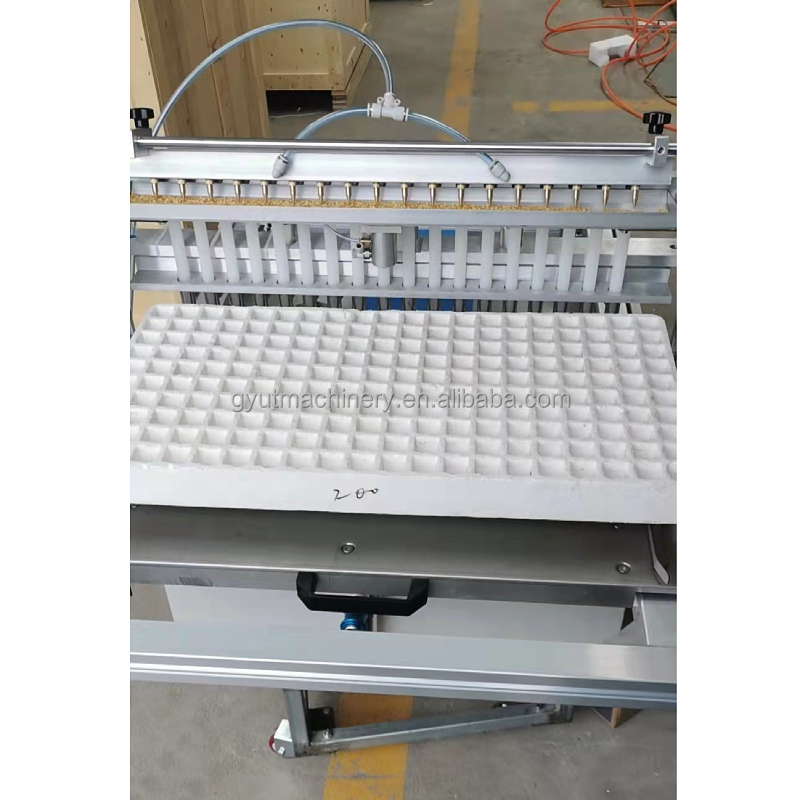High Seeding Accuracy Automatic Eggplant Lettuce Cucumber Seeds Trays Planting Machine for Seedlings Transplant