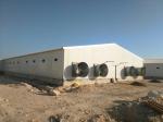 Galvanized Full Antomatic Steel Poultry Farm Shed Bird House Prefabricated