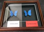 custom photo frame float clear glass manufacturer
