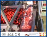 Fruit Processing Tomato Juicer Machine , Electric Tomato Juicer Process Plant