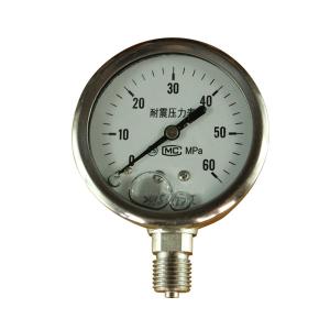 Quality Class1.6 Class2.5 316 Stainless Steel Pressure Gauge 40mm 50mm 63MM wholesale