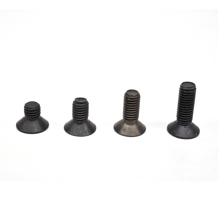 Collated Drywall Screws M8 M10 M12 M16 M24 T Screw Bolts Fastener