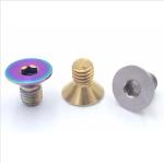 Custom Titanium Screws Fasteners TC4 Mountain Bike Single Disc Screw