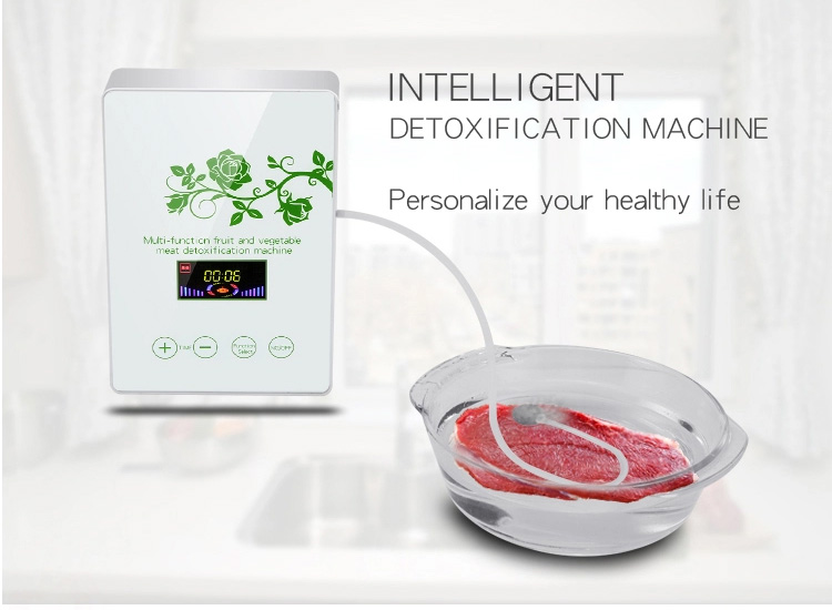 HOMEFISH Commercial Air Purifier Kitchen Use Active Oxygen Fruit And Vegetable Sterilizing Machine 400mg/H