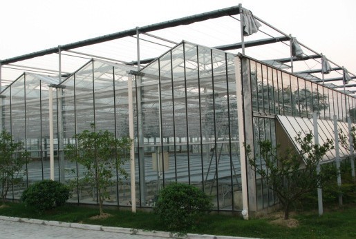 Anti Sweat Commercial Glass Greenhouse Uniform Illumination Good Draining Ability