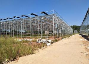Quality Venlo Glass Greenhouse , Multi Span Greenhouse For Hydroponics System wholesale