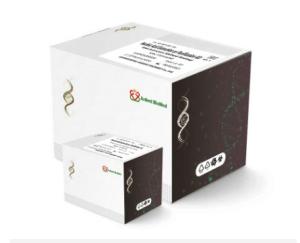 Quality Nasopharyngeal Swab Saliva Antigen Rapid Test Kit wholesale
