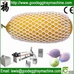EPE Melon Net Extrusion line