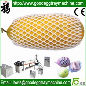 Quality EPE Mango Net Extrusion line wholesale