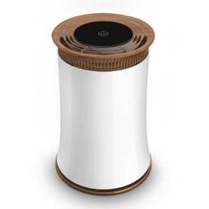 Quality Household Anion Air Purifier wholesale