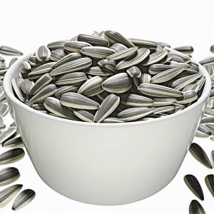 Quality Sunflower Seeds T5 The Best Choice for Your Business wholesale
