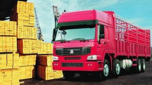 Quality HOWO 8X4 CARGO TRUCK wholesale
