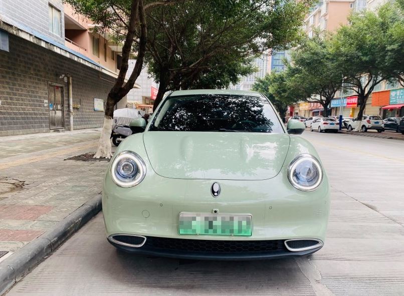 Long Range 4 Wheel Drive Electric SUV ORA Good Cat 150km/h For Adults