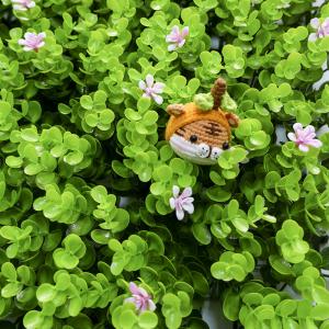 Quality 100*100 CM Durable Artificial Plant Wall Panel 3D Synthetic Landscape For Indoor wholesale
