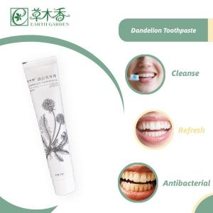 Quality Freshness Dandelion Sensitive Toothpaste Anti Inflammatory Toothpaste Herbal wholesale