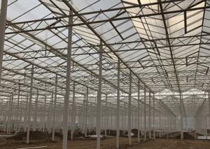 Quality Sided Ventilated Cooling Pad Multi Span Pc Sheet Greenhouse wholesale