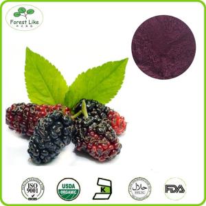 Quality High Quality Mulberry Extract / Anthocyanidins25% wholesale