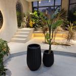 Upgrade Gardening Game With Our Stylish Fiber Clay Planter Collection