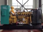 IP23 Protection Class Gas Generator Set 10kw 1000kw for Electric Power
