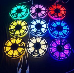 China 2-wire new arrival high lumen led rope light Christmas light IP55 outdoor waterproof on sale