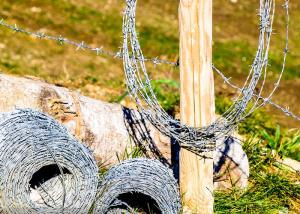 Quality Double strand traditional twist Hot Dipped Galvanized Barbed Wire wholesale