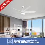 DC Motor 5 ABS Blades White 3 Color Led Light Decorative Smart Ceiling Fan With