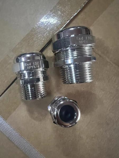 IP68 Atex/Iecex Cable Gland Explosion Proof Cable Gland for Oil and Gas