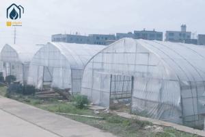 Quality Hot Dip Galvanized Pipe High Tunnel Greenhouse Customizable Agriculture Greenhouse wholesale