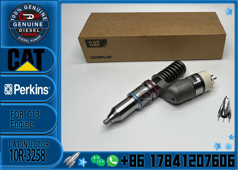 Factory Direct Supply Common Rail Injector 250-1309 10R-3258 253-0608 292-3666 2923666 253-0608