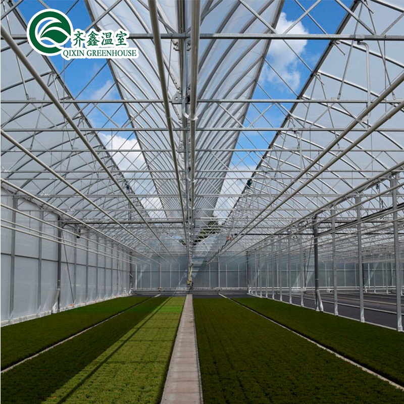 Glass Greenhouse Ventilation System with Tempered Glass or PC Sheet Top Covering