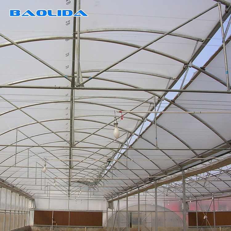 Sunlight Plastic Film Greenhouse / Plastic Sheeting Rolls Greenhouse