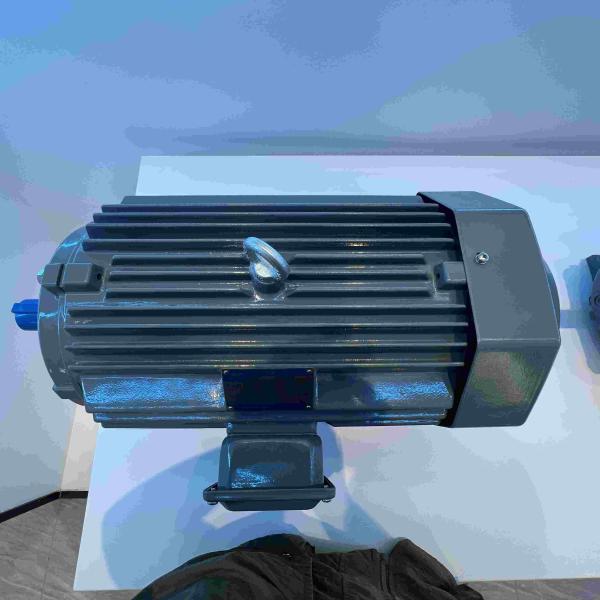 Three Phase Permanent Magnet Synchronous Motors Cast Iron Aluminum Stainless