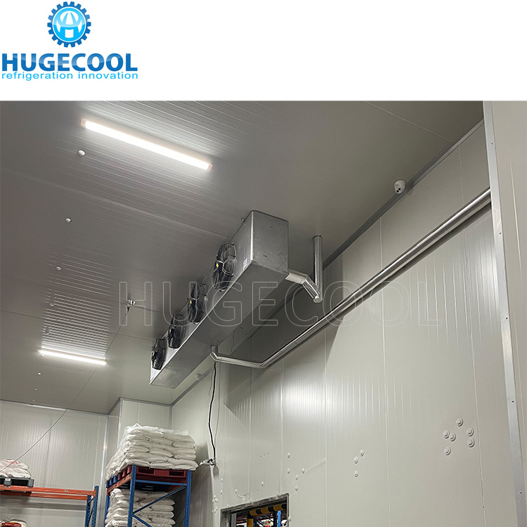 Customized new cold storage for frozen meat and seafood