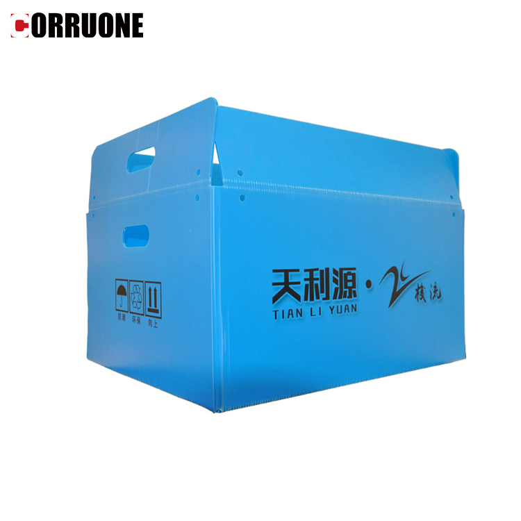 PP Corrugated plastic box vegetable fruit box