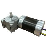 63WG.63RBL 12v 24v 36v 48v Brushless DC Worm Gear Motor BLDC Motor With Worm