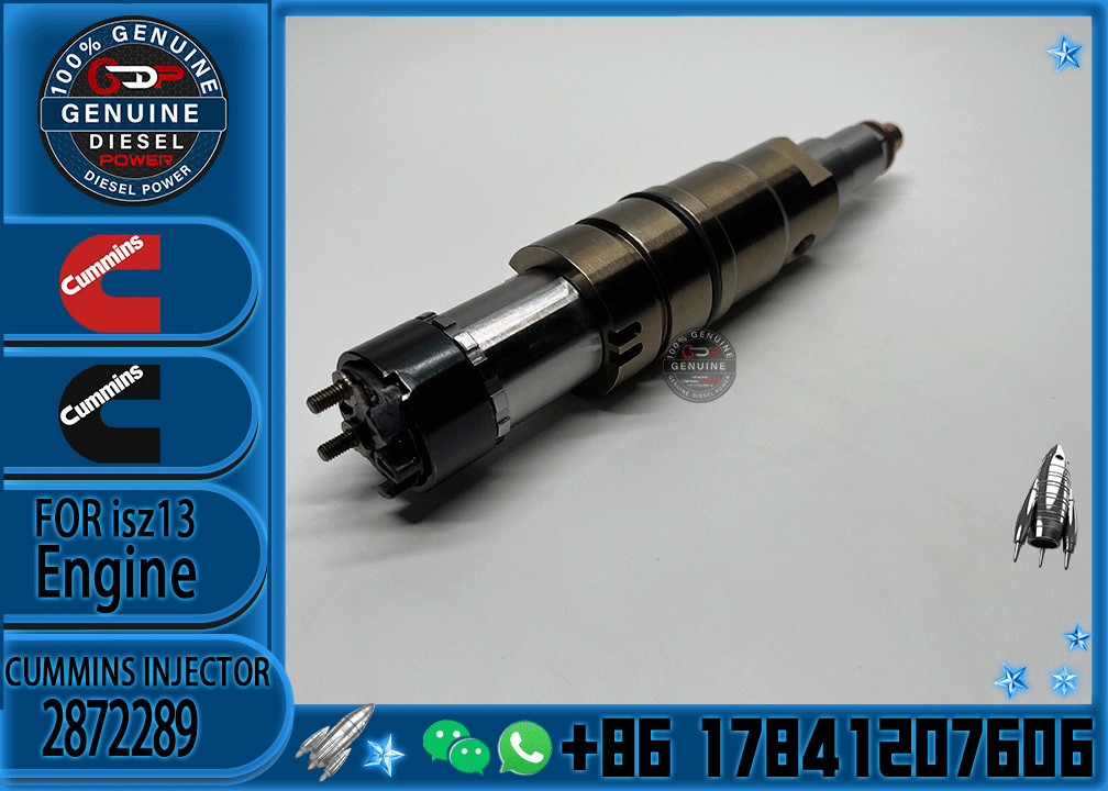 Fuel Injector Diesel Engine Injector Common Rail Injector Repair Kit 2488244 2872544 2872289 2872284 4955080