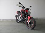 12KW 8000r/Min Brutalle 250R Beginner Sport Motorcycles