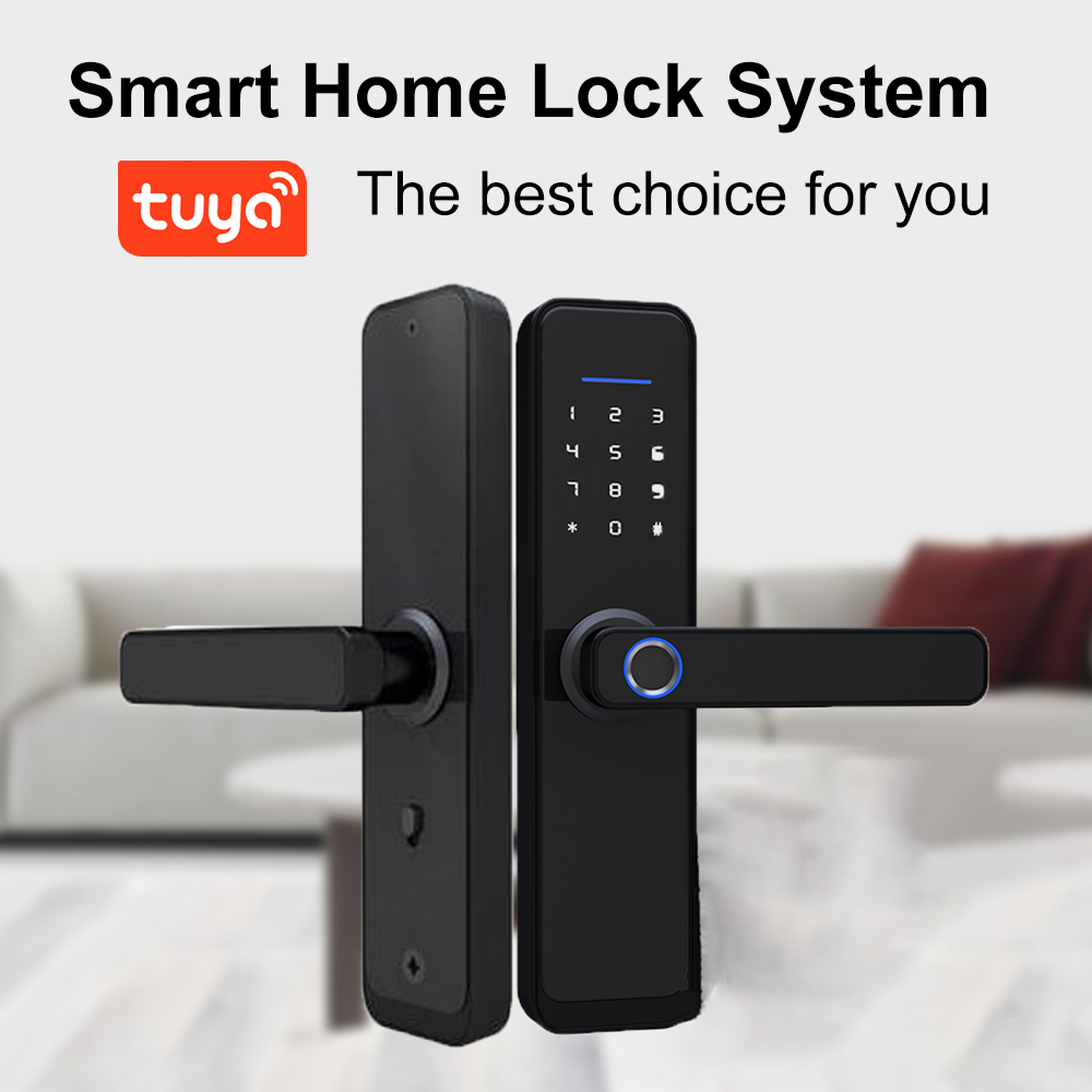 Intelligent Push Pull Door Lock Tuya WiFi Smart Keyless Entry Door Lock