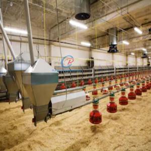 Quality Prefab Steel Structure Poultry House Customized Steel Frame Chicken Coop wholesale