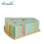 Bilological Class 47x46x18cm 5kgs Plant Stem Cell Model